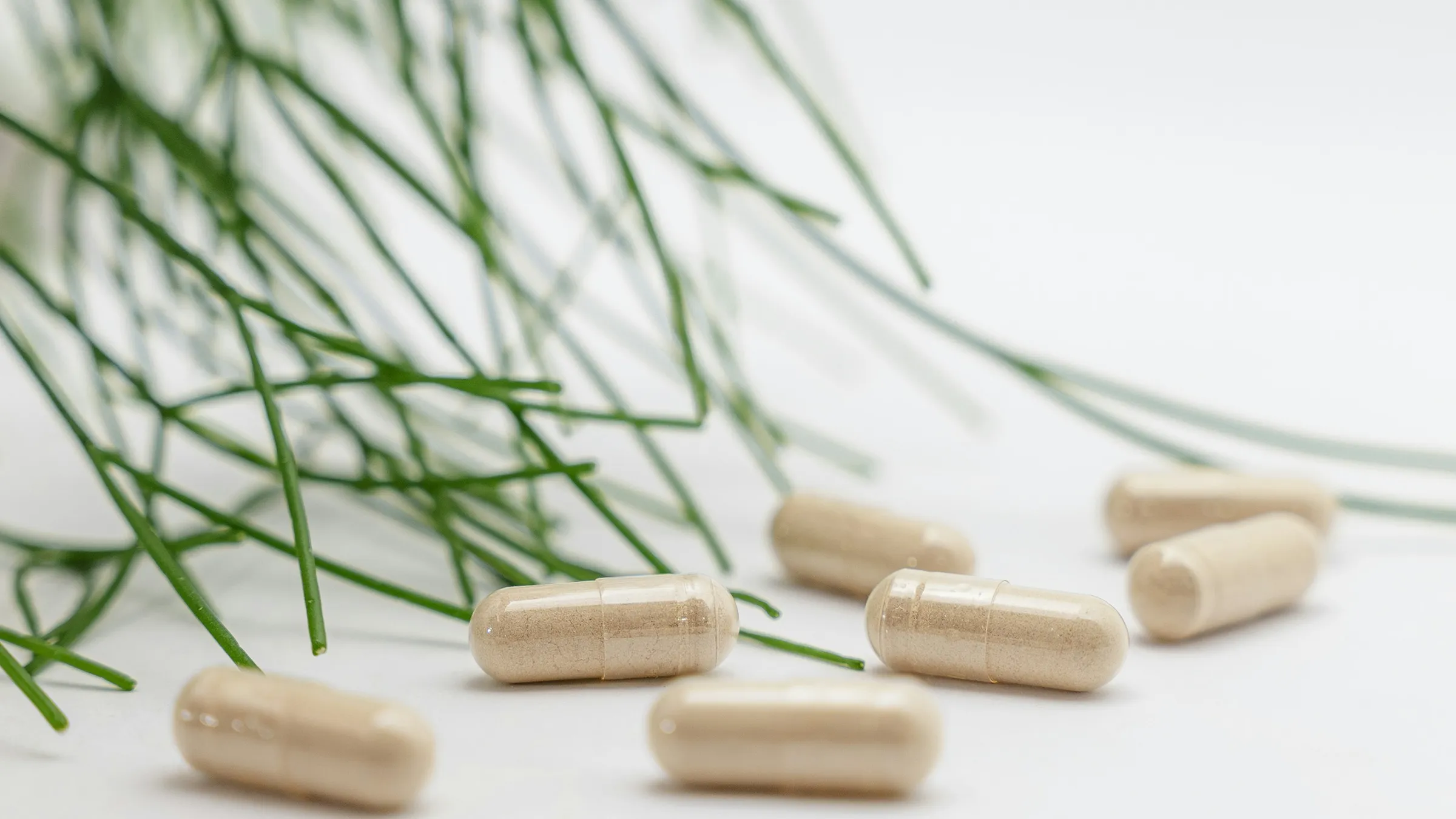 Nutracéuticos